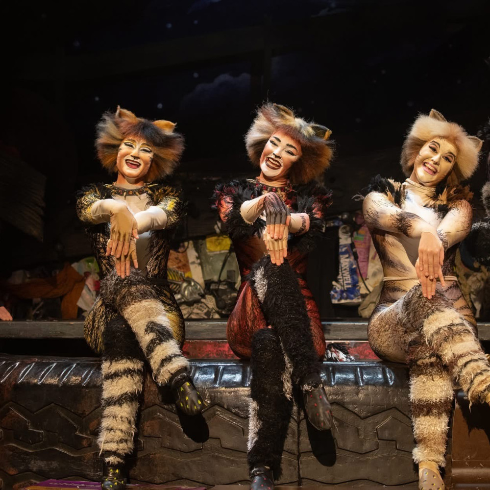 Olivia in Cats